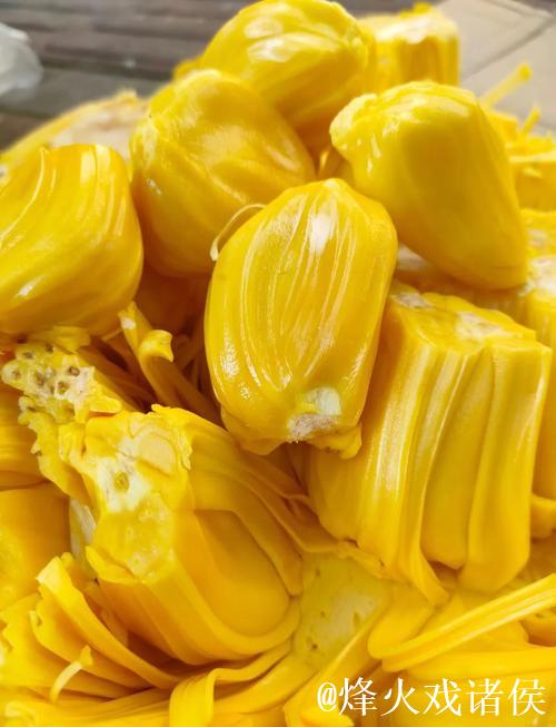 菠萝蜜在线视频3：畅享清新热带风情