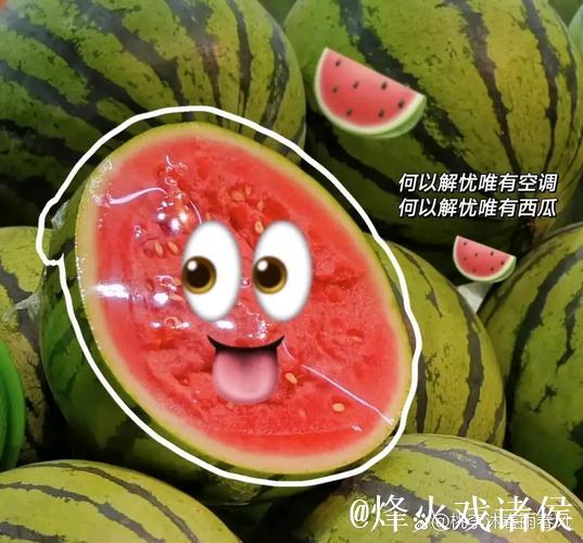 51今日吃瓜：必吃趣味大瓜新鲜直击